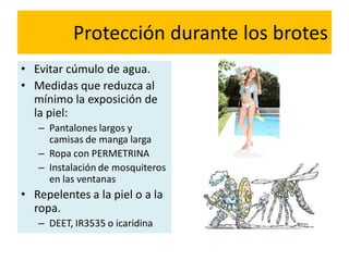 Protección durante los brotes
• Evitar cúmulo de agua.
• Medidas que reduzca al
mínimo la exposición de
la piel:
– Pantalones largos y
camisas de manga larga
– Ropa con PERMETRINA
– Instalación de mosquiteros
en las ventanas
• Repelentes a la piel o a la
ropa.
– DEET, IR3535 o icaridina
 
