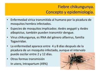 Fiebre chikungunya.
Concepto y epidemiología.
• Enfermedad vírica transmitida al humano por la picadura de
mosquitos hembra infectados.
• Especies de mosquitos implicados: Aedes aegypti y Aedes
albopictus, también pueden transmitir dengue.
• Virus chikungunya, es RNA del género alfavirus, familia
Togaviridae.
• La enfermedad aparece entre 4 y 8 días después de la
picadura de un mosquito infectado, aunque el intervalo
puede oscilar entre 2 y 12 días.
• Otras formas transmisión
In utero, Intrapartum (49%)
 