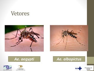 Vetores
Ae. aegypti Ae. albopictus
 
