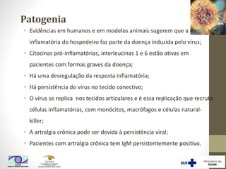 • Evidências em humanos e em modelos animais sugerem que a resposta
inflamatória do hospedeiro faz parte da doença induzida pelo vírus;
• Citocinas pró-inflamatórias, interleucinas 1 e 6 estão ativas em
pacientes com formas graves da doença;
• Há uma desregulação da resposta inflamatória;
• Há persistência do vírus no tecido conectivo;
• O vírus se replica nos tecidos articulares e é essa replicação que recruta
células inflamatórias, com monócitos, macrófagos e células natural-
killer;
• A artralgia crônica pode ser devida à persistência viral;
• Pacientes com artralgia crônica tem IgM persistentemente positivo.
Patogenia
 