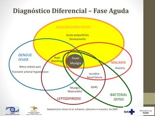 MALARIA
DENGUE
FEVER
CHIKUNGUNYA FEVER
Jaundice
Renal failure
Fever
Myalgia
Rash
Bleedings
Retro-orbital pain
Transient arterial hypotension
Acute polyarthritis
Tenosynovitis
Anemia
LEPTOSPIROSIS
Adapted from Simon et al, Schwartz, Infections in travelers, Ed 2009
BACTERIAL
SEPSIS
Myalgia
Myocarditis
ADRS
Diagnóstico Diferencial – Fase Aguda
 