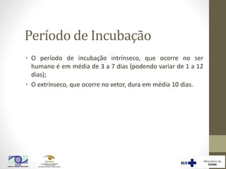 Período de Incubação
• O período de incubação intrínseco, que ocorre no ser
humano é em média de 3 a 7 dias (podendo variar de 1 a 12
dias);
• O extrínseco, que ocorre no vetor, dura em média 10 dias.
 