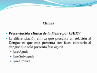 Chikungunya
Clínica
 Presentación clínica de la Fiebre por CHIKV
 La diferenciación clínica que presenta en relación al
Dengue es que esta presenta tres fases contrario al
dengue que solo presenta fase aguda.
 Fase Aguda
 Fase Sub-aguda
 Fase Crónica
 