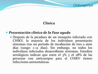 Chikungunya
Clínica
 Presentación clínica de la Fase aguda
 Después de la picadura de un mosquito infectado con
CHIKV, la mayoría de los individuos presentarán
síntomas tras un período de incubación de tres a siete
días (rango: 1−12 días). Sin embargo, no todos los
individuos infectados desarrollarán síntomas. Estudios
serológicos indican que entre el 3% y el 28% de las
personas con anticuerpos para el CHIKV tienen
infecciones asintomáticas.
 