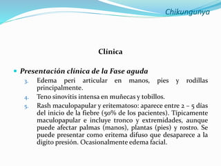 Chikungunya
Clínica
 Presentación clínica de la Fase aguda
3. Edema peri articular en manos, pies y rodillas
principalmente.
4. Teno sinovitis intensa en muñecas y tobillos.
5. Rash maculopapular y eritematoso: aparece entre 2 – 5 días
del inicio de la fiebre (50% de los pacientes). Típicamente
maculopapular e incluye tronco y extremidades, aunque
puede afectar palmas (manos), plantas (pies) y rostro. Se
puede presentar como eritema difuso que desaparece a la
digito presión. Ocasionalmente edema facial.
 