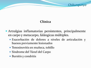 Chikungunya
Clínica
 Artralgias inflamatorias persistentes, principalmente
en carpo y metacarpo, falángicas múltiples.
 Exacerbación de dolores a niveles de articulación y
huesos previamente lesionados
 Tenosinovitis en muñeca, tobillo
 Síndrome del Túnel del Carpo
 Bursitis y condritis
 