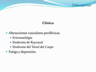 Chikungunya
Clínica
 Alteraciones vasculares periféricas.
 Eritromelalgia
 Síndrome de Raynaud
 Síndrome del Túnel del Carpo
 Fatiga y depresión.
 