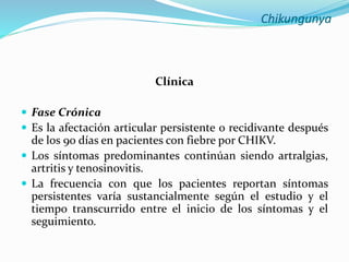 Chikungunya
Clínica
 Fase Crónica
 Es la afectación articular persistente o recidivante después
de los 90 días en pacientes con fiebre por CHIKV.
 Los síntomas predominantes continúan siendo artralgias,
artritis y tenosinovitis.
 La frecuencia con que los pacientes reportan síntomas
persistentes varía sustancialmente según el estudio y el
tiempo transcurrido entre el inicio de los síntomas y el
seguimiento.
 