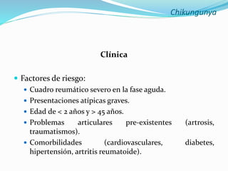 Chikungunya
Clínica
 Factores de riesgo:
 Cuadro reumático severo en la fase aguda.
 Presentaciones atípicas graves.
 Edad de < 2 años y > 45 años.
 Problemas articulares pre-existentes (artrosis,
traumatismos).
 Comorbilidades (cardiovasculares, diabetes,
hipertensión, artritis reumatoide).
 