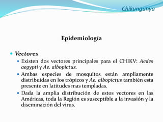 Chikungunya
Epidemiología
 Vectores
 Existen dos vectores principales para el CHIKV: Aedes
aegypti y Ae. albopictus.
 Ambas especies de mosquitos están ampliamente
distribuidas en los trópicos y Ae. albopictus también esta
presente en latitudes mas templadas.
 Dada la amplia distribución de estos vectores en las
Américas, toda la Región es susceptible a la invasión y la
diseminación del virus.
 