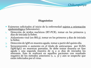 Chikungunya
Diagnóstico
 Exámenes solicitados al inicio de la enfermedad sujetos a orientación
epidemiológica (laboratorio).
1. Detección de ácidos nucleicos (RT-PCR), tomar en los primeros 5
días de iniciada la fiebre.
2. Aislamiento viral (en BSL3), tomar en los primeros 5 días de iniciada
la fiebre.
3. Detección de IgM en muestra aguda, tomar a partir del quinto día.
4. Seroconversión o aumento en el título de anticuerpos por ELISA
(IgM/IgG) en muestras pareadas. Se debe tomar muestra en fase
aguda y una segunda muestra de 15 a 21 días de iniciados los
síntomas. Esto se realizará en aquellos pacientes con resultado
negativo de los métodos anteriores (1, 2, 3) y aún se sospeche que
están infectados por el virus.
 