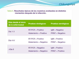Chikungunya
 
