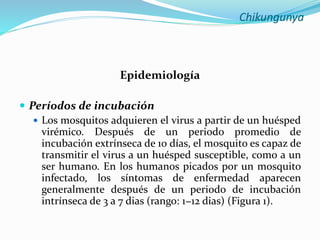 Chikungunya
Epidemiología
 Períodos de incubación
 Los mosquitos adquieren el virus a partir de un huésped
virémico. Después de un periodo promedio de
incubación extrínseca de 10 días, el mosquito es capaz de
transmitir el virus a un huésped susceptible, como a un
ser humano. En los humanos picados por un mosquito
infectado, los síntomas de enfermedad aparecen
generalmente después de un periodo de incubación
intrínseca de 3 a 7 dias (rango: 1−12 dias) (Figura 1).
 