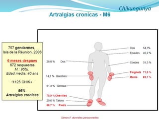 Chikungunya Junio 2014 Slide 40