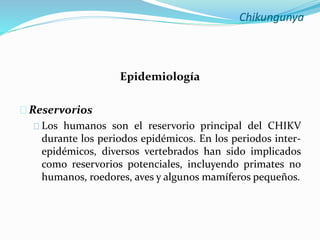 Chikungunya Junio 2014 Slide 5