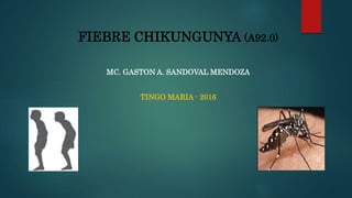 FIEBRE CHIKUNGUNYA (A92.0)
MC. GASTON A. SANDOVAL MENDOZA
TINGO MARIA - 2016
 
