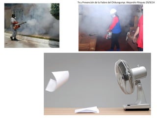 Tx y Prevención de la Fiebre del Chikungunya. Alejandro Rísquez 29/9/14  
