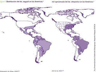 Tx y Prevención de la Fiebre del Chikungunya. Alejandro Rísquez 29/9/14  
