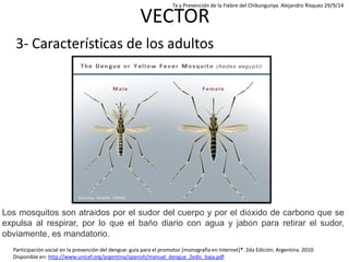 3- Características de los adultos 
VECTOR 
Participación social en la prevención del dengue: guía para el promotor [monogr...
