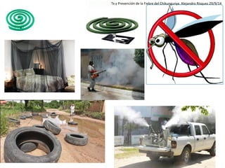 Tx y Prevención de la Fiebre del Chikungunya. Alejandro Rísquez 29/9/14  