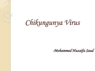 Chikungunya Virus
-Mohammed Huzaifa Saud
 