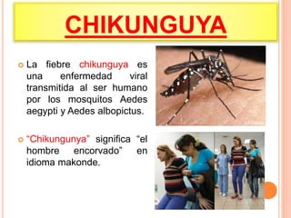 CHIKUNGUYA
 La fiebre chikunguya es
una enfermedad viral
transmitida al ser humano
por los mosquitos Aedes
aegypti y Aedes albopictus.
 “Chikungunya” significa “el
hombre encorvado” en
idioma makonde.
 