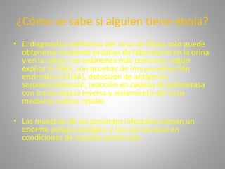 ¿Cómo se sabe si alguien tiene ebola? 
• El diagnóstico definitivo del virus de Ébola solo puede 
obtenerse mediante pruebas de laboratorio en la orina 
y en la saliva. Los exámenes más comunes, según 
explica la OMS, son pruebas de inmunoadsorción 
enzimática (ELISA), detección de antígenos, 
seroneutralización, reacción en cadena de polimerasa 
con transcriptasa inversa y aislamiento del virus 
mediante cultivo celular. 
• Las muestras de los pacientes infectados tienen un 
enorme peligro biológico y han de tomarse en 
condiciones de máxima protección. 
 