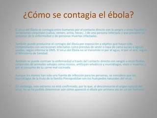 ¿Cómo se contagia el ébola? 
• El virus del Ébola se contagia entre humanos por el contacto directo con la sangre u otros líquidos o 
secreciones corporales (saliva, semen, orina, heces...) de una persona infectada y que presente ya 
síntomas de la enfermedad o de personas muertas infectadas. 
• También puede producirse el contagio del ébola por exposición a objetos que hayan sido 
contaminados con secreciones infectadas como prendas de vestir o ropa de cama sucias o agujas 
usadas, según informa la OMS. El virus del Ébola no se transmite ni por el agua, ni por el aire, según 
el Ministerio de Sanidad. 
• También se puede contraer la enfermedad a través del contacto directo con sangre u otros fluidos 
corporales de animales salvajes como monos, antílopes selváticos y murciélagos, vivos o muertos y 
por el consumo de su carne mal cocinada. 
• Aunque los monos han sido una fuente de infección para las personas, se considera que los 
murciélagos de la fruta de la familia Pteropodidae son los huéspedes naturales del virus. 
• Sin embargo, este extremo no está confirmado, por lo que, al desconocerse el origen natural del 
virus, no se ha podido determinar aún cómo apareció el ébola por primera vez en un ser humano. 
 