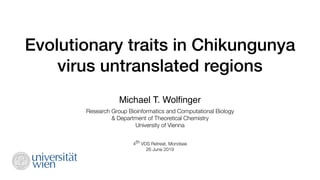 Evolutionary traits in Chikungunya
virus untranslated regions
Michael T. Wolﬁnger
4th VDS Retreat, Mondsee 
26 June 2019
Research Group Bioinformatics and Computational Biology
& Department of Theoretical Chemistry
University of Vienna
 