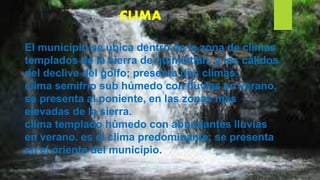CLIMA
El municipio se ubica dentro de la zona de climas
templados de la sierra de quimixtlán, y los cálidos
del declive del golfo; presenta dos climas:
clima semifrío sub húmedo con lluvias en verano.
se presenta al poniente, en las zonas más
elevadas de la sierra.
clima templado húmedo con abundantes lluvias
en verano. es el clima predominante; se presenta
en el oriente del municipio.
 