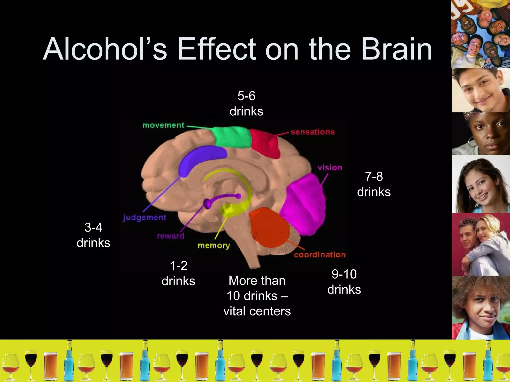 Alcohol’s Effect on the Brain 1-2 drinks 3-4 drinks 5-6 drinks 7-8 drinks 9-10 drinks More than 10 drinks –vital centers 