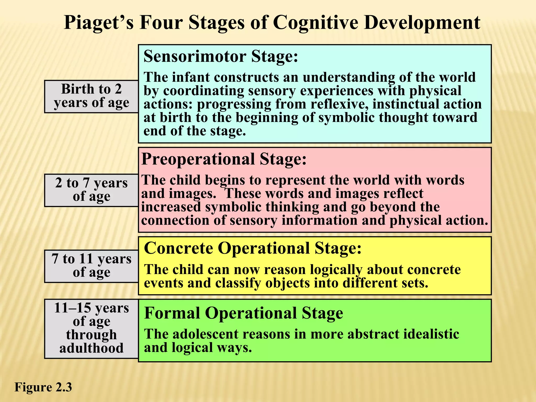 Child development-theorists | PPT