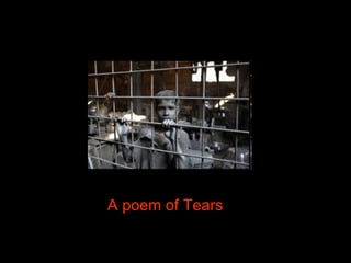 A poem of Tears 