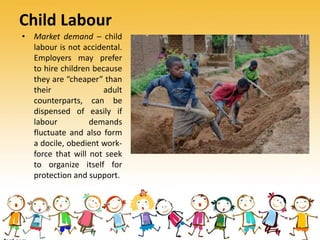 Child Labour
• Market demand – child
labour is not accidental.
Employers may prefer
to hire children because
they are “cheaper” than
their adult
counterparts, can be
dispensed of easily if
labour demands
fluctuate and also form
a docile, obedient work-
force that will not seek
to organize itself for
protection and support.
 