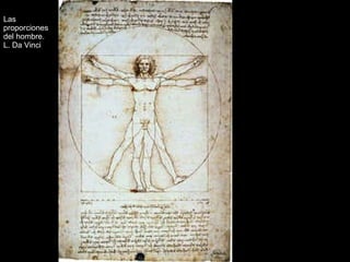 Las proporciones  del hombre. L. Da Vinci 