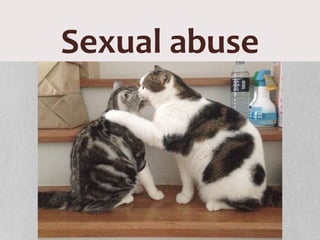 Sexual abuse
 