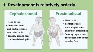1. Development is relatively orderly
Cephalocaudal Proximodistal
• Head to toe
• Control of head
and neck precedes
control of limbs.
• Sensory organs near
the head develop first
• Near to far.
• Control of core
muscles precedes
control of extremities
• Sensory organs near
the center of the body
develop first
 