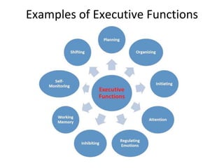 Examples of Executive Functions
 