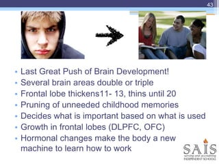 • Last Great Push of Brain Development!
• Several brain areas double or triple
• Frontal lobe thickens11- 13, thins until 20
• Pruning of unneeded childhood memories
• Decides what is important based on what is used
• Growth in frontal lobes (DLPFC, OFC)
• Hormonal changes make the body a new
machine to learn how to work
43
 