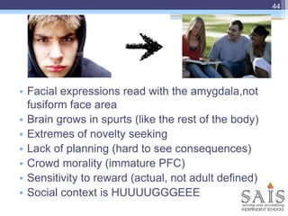 • Facial expressions read with the amygdala,not
fusiform face area
• Brain grows in spurts (like the rest of the body)
• Extremes of novelty seeking
• Lack of planning (hard to see consequences)
• Crowd morality (immature PFC)
• Sensitivity to reward (actual, not adult defined)
• Social context is HUUUUGGGEEE
44
 