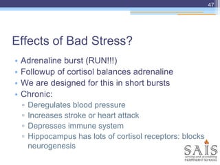 Effects of Bad Stress?
• Adrenaline burst (RUN!!!)
• Followup of cortisol balances adrenaline
• We are designed for this in short bursts
• Chronic:
▫ Deregulates blood pressure
▫ Increases stroke or heart attack
▫ Depresses immune system
▫ Hippocampus has lots of cortisol receptors: blocks
neurogenesis
47
 