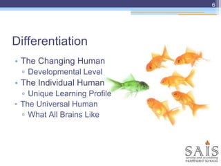 Differentiation
• The Changing Human
▫ Developmental Level
• The Individual Human
▫ Unique Learning Profile
▫ The Universal Human
▫ What All Brains Like
6
 