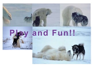 Play and Fun!!
 