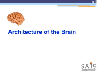 Architecture of the Brain
92
 