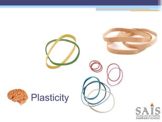 Plasticity
 