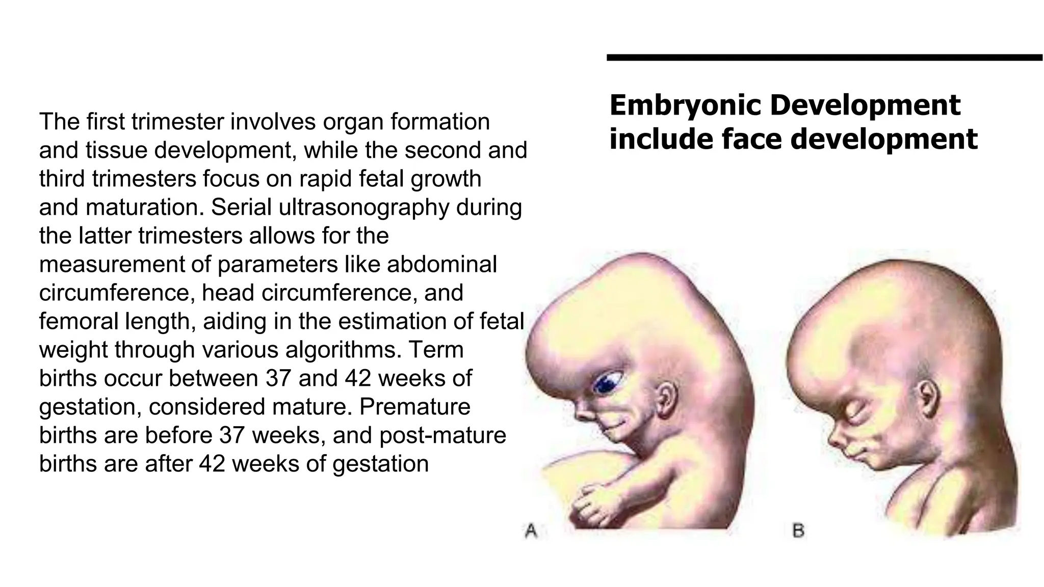 Embryonic Development
include face development
The first trimester involves organ formation
and tissue development, while the second and
third trimesters focus on rapid fetal growth
and maturation. Serial ultrasonography during
the latter trimesters allows for the
measurement of parameters like abdominal
circumference, head circumference, and
femoral length, aiding in the estimation of fetal
weight through various algorithms. Term
births occur between 37 and 42 weeks of
gestation, considered mature. Premature
births are before 37 weeks, and post-mature
births are after 42 weeks of gestation
 
