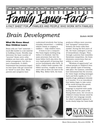 A FACT SHEET FOR                     FAMILIES AND PEOPLE WHO WORK WITH FAMILIES



Brain Development                                                                                Bulletin #4356


What We Know About                     understood intuitively that loving,     produces trillions more neurons
How Children Learn                     everyday interactions — cuddling        and “synapses” (connections
                                       infants closely or singing to           between the brain cells) than
Brain cells are “raw” materials —      toddlers — help children learn.         needed. During the first years of
much like lumber is a raw material          A brain is not a computer.         life, the brain undergoes a series
in building a house. Heredity may      The brain begins working long           of extraordinary changes. Then,
determine the basic number of          before it is finished. And the          through a process that resembles
“neurons” (brain nerve cells)          same processes that wire the            Darwinian competition, the brain
children are born with, and their      brain before birth also drive the       eliminates connections that are
initial arrangement, but this is       very rapid growth of learning that      seldom or never used.
just a framework. A child’s            occurs immediately after birth. At           “Windows of opportunity” are
environment has enormous impact        birth, a baby’s brain contains 100      critical periods in children’s lives
on how these cells get connected       billion neurons, roughly as many        when specific types of learning
or “wired” to each other. Many         nerve cells as there are stars in the   take place. For instance, scientists
parents and caregivers have            Milky Way. Before birth, the brain      have determined that the neurons
                                                                               for vision begin sending messages
                                                                               back and forth rapidly at 2 to 4
                                                                               months of age, peaking in intensity
                                                                               at 8 months. It is no coincidence
                                                                               that babies begin to take notice
                                                                               of the world during this period.
                                                                                    Scientists believe that
                                                                               language is acquired most easily
                                                                               during the first ten years of life.
                                                                               During these years, the circuits in
                                                                               children’s brains become wired for
                                                                               how their own language sounds.
                                                                               An infant’s repeated exposure to
                                                                               words clearly helps her brain build




                                                                           BRAIN DEVELOPMENT, BULLETIN #4356     1
 