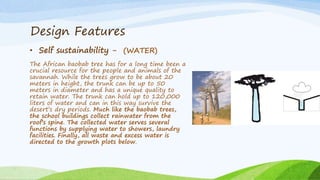 Design Features
• Self sustainability - (WATER)
The African baobab tree has for a long time been a
crucial resource for the people and animals of the
savannah. While the trees grow to be about 20
meters in height, the trunk can be up to 50
meters in diameter and has a unique quality to
retain water. The trunk can hold up to 120,000
liters of water and can in this way survive the
desert’s dry periods. Much like the baobab trees,
the school buildings collect rainwater from the
roof’s spine. The collected water serves several
functions by supplying water to showers, laundry
facilities. Finally, all waste and excess water is
directed to the growth plots below.
 