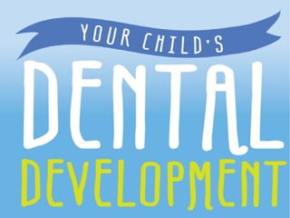 Child dental development 