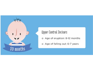 Child dental development 